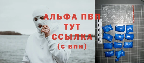 шишки Заводоуковск