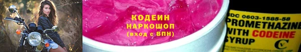 шишки Заводоуковск