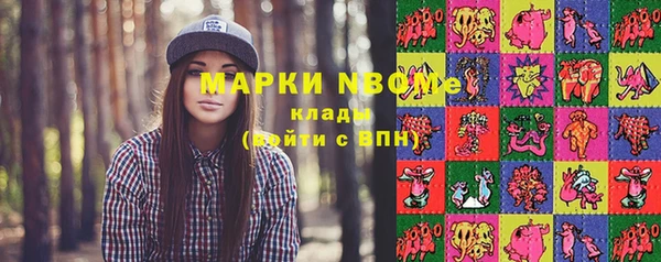 шишки Заводоуковск