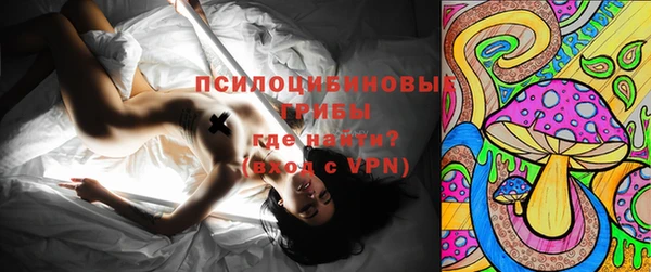 шишки Заводоуковск