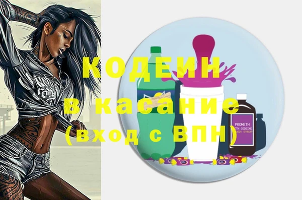 шишки Заводоуковск