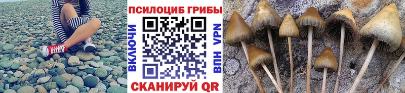 Галлюциногенные грибы мухоморы  Кировград 